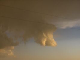 Little Funnel