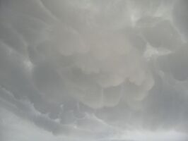 Mammatus - Hayes