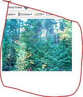 Capture.JPG