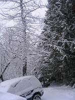 Snow cover