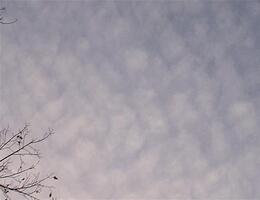 The same clouds - These are the same clouds at sunset looking directly overhead.