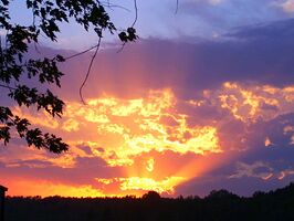 Sunset Show - Sun setting beyond the Ohio River. Looking from Kentucky towards Illinois.