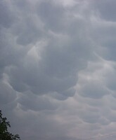 Mammatus - I thought these looked like mammatus clouds. They formed after some nice thunderstorms rolled through.