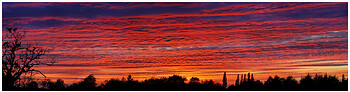 Essex Sunset - Happened across this picture this morning whilst looking for something else. It was taken 3 years ago on the way home from a family visit and I had to pull into a garage forecourt to take it. It's actually 5 vertical shots fused together to create a panorama effect. Probably the most amazing sunset I've ever seen!