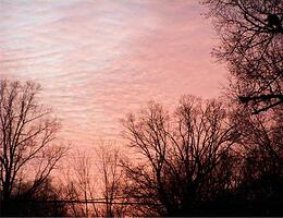 Sunset colored clouds 1 - This rosy pink color on these clouds looked so pretty I just had to get pics of it!