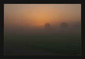Fog at Sunrise - Sunrise through fog on Kenley Airfield, Surrey, UK.