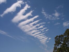 Not sure what these are other than strange. Edit: As per Brian, this is a wave cloud.