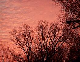 The same clouds - The rosy pink color is strong in this picture.