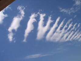 Not sure what these are other than strange. Edit: Brian has informed me that these are wave clouds.