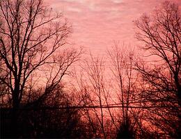 The same clouds - The rosy color is dissipating.