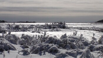 The Feb 10-2010 NorEaster West Island State Reservation. Out back at the West Island State Reservation. The gray horizon marks the end of a departed Nor'easter the night before. Looking southeast, across Buzzards Bay, towards Falmouth, MA. Photo taken from The West Island State Reservation-East Cove.