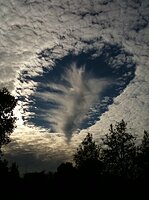 Good example of a fallstreak hole - http://en.wikipedia.org/wiki/Fallstreak_hole