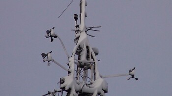 Frozen Tower - The West Island Weather Station is near the Cape Cod Canal, Massachusetts. Plenty of coastal storm action here off the Southern New England shore. Tower cams, 6 Davis rigs. Latest software: WeatherLink IP, Virtual Weather, & WEATHERFLASH.