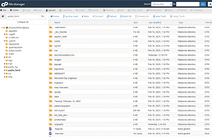 Screenshot 2025-02-25 094337